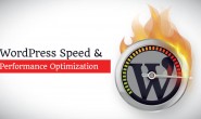 WordPress网站速度太慢?一篇文章让独立站速度翻倍