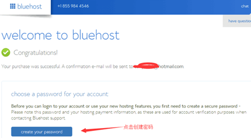 BLUEHOST4